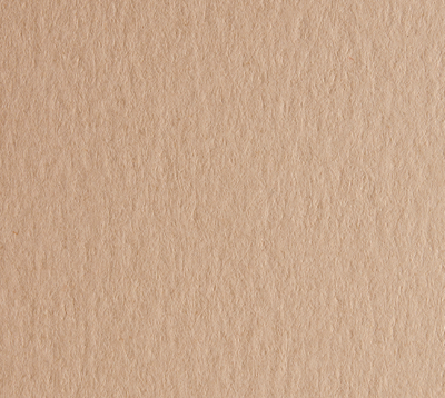 Cartulina Española 200 grs 50x70cm