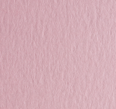 Cartulina Española 200 grs 50x70cm
